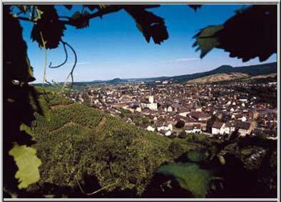 Hotel Rhein Inn Remagen Dış mekan fotoğraf